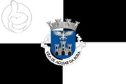 Bandera de Aguiar da Beira