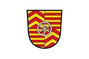 Bandera de Rieneck