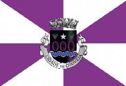 Bandera de Gouveia (Portugal)