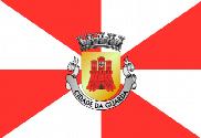 Bandera de Guarda