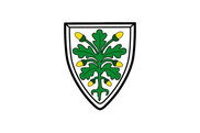 Bandera de Aichach