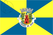Bandera de Seia