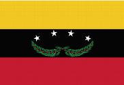 Bandera de Táchira