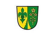 Bandera de Binswangen