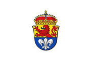 Bandera de Darmstadt