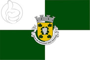 Bandera de Figueiró dos Vinhos