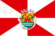 Bandera de Leiria
