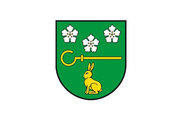 Bandera de Sanitz