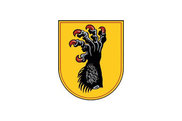 Bandera de Syke