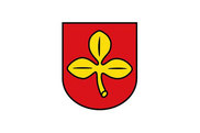 Bandera de Salzkotten