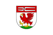 Bandera de Bongard