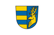 Bandera de Friolzheim