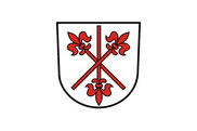 Bandera de Neidenstein