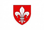 Bandera de Lille