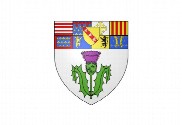Bandera de Nancy