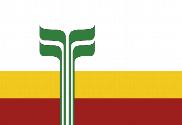 Bandera de Franco-Manitobain