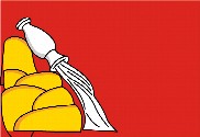 Bandera de Voronezh