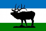 Bandera de Elk Ridge