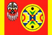 Bandera de Aroostook