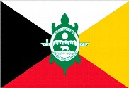 Bandera de Burt Lake