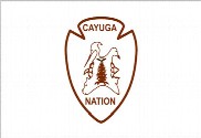 Bandera de Cayuga