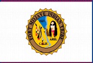 Bandera de Fort Mojave