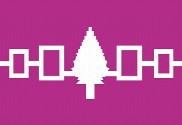 Bandera de Iroquois