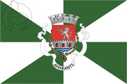 Bandera de Amarante 