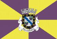 Bandera de Felgueiras
