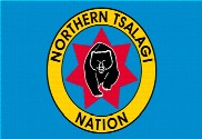Bandera de Northern Tsalagi