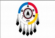 Bandera de Notoweega of Ohio