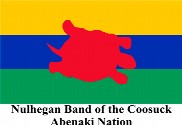 Bandera de Nulhegan Band