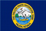 Bandera de Paiute Shoshone