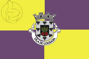 Bandera de Lousada