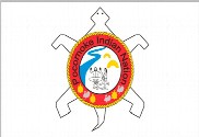Bandera de Pocomoke