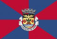 Bandera de Maia