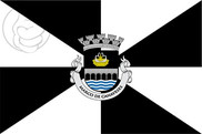 Bandera de Marco de Canaveses