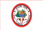 Bandera de San Carlos Apache