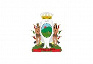 Bandera de Monterrey