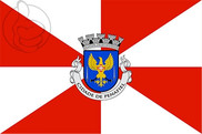 Bandera de Penafiel