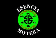 Bandera de Kawasaki esencia motera