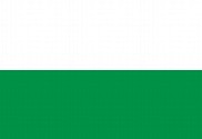 Bandera de Tegueste oficial