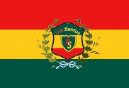 Bandera de Los Santos (GTA)
