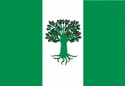 Bandera de A Cañiza
