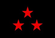 Bandera de Nuevo Rico