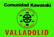 Bandera de Comunidad Kawasaki Valladolid 3