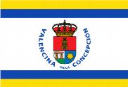 Bandera de Valencina de la Concepción personalizada 2