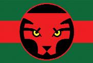 Bandera de Wakanda