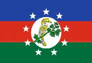 Bandera de Chin