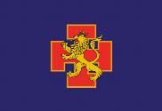 Bandera de OJE Organización de Juventudes Españolas